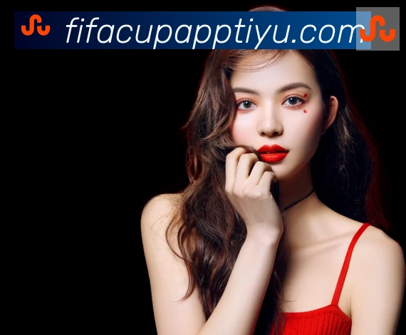 美加墨世界杯APP下载品牌故事